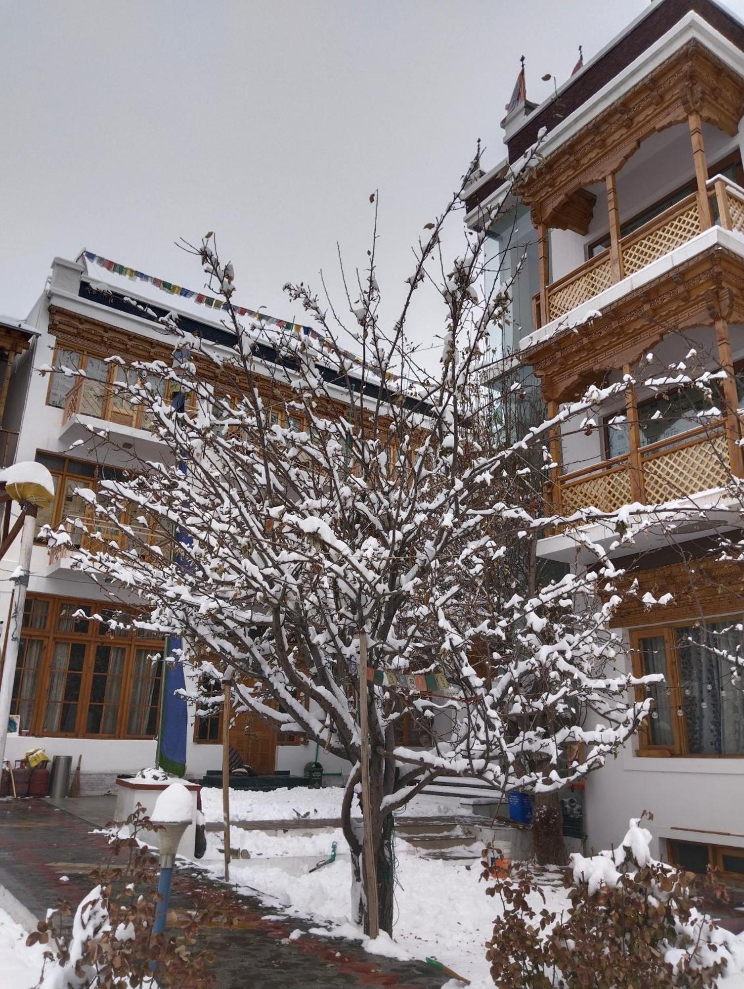 Hotel Jigmet, Leh Exterior foto